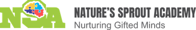 NSA Logo