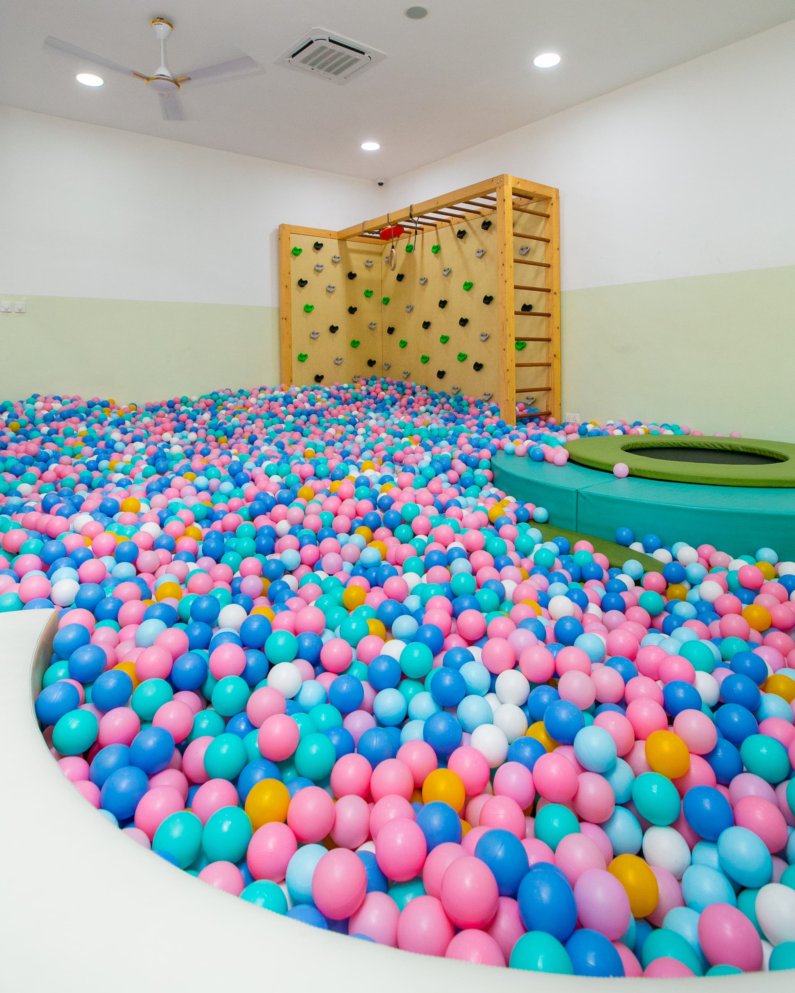 Sports & Motion Hall