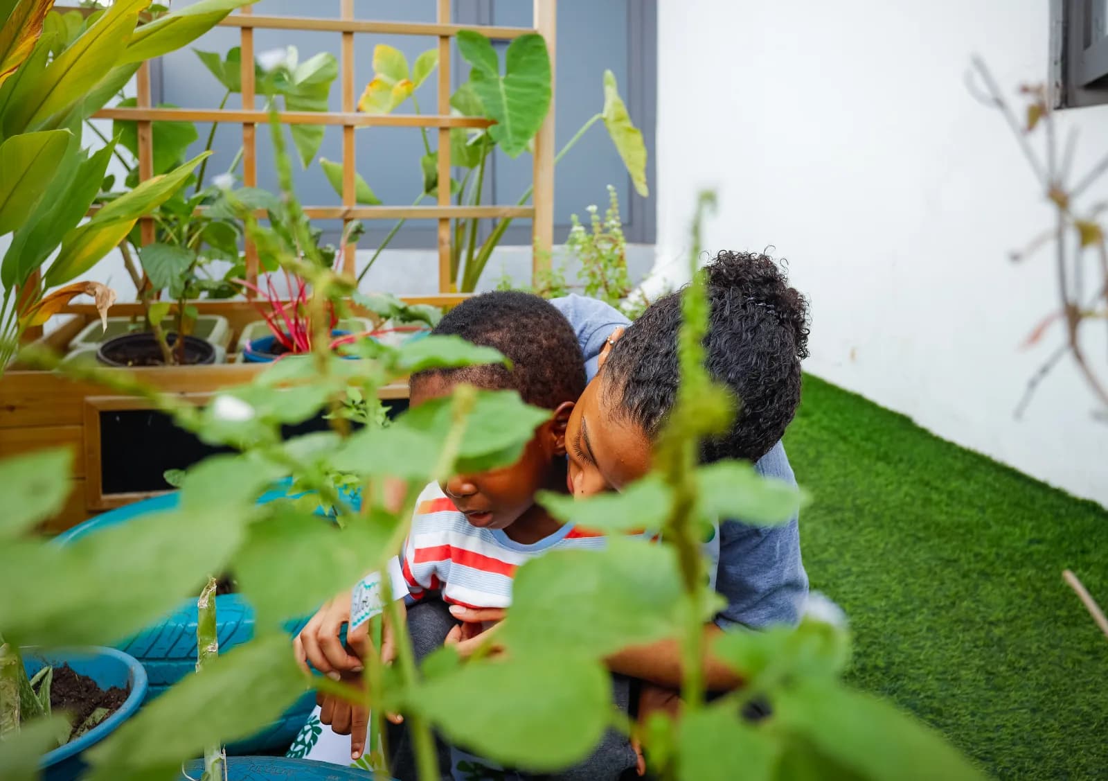 Garden